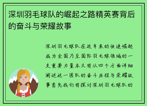 深圳羽毛球队的崛起之路精英赛背后的奋斗与荣耀故事