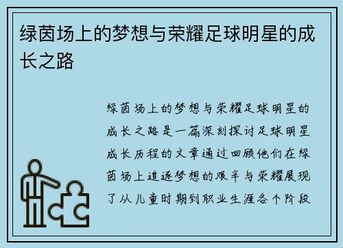 绿茵场上的梦想与荣耀足球明星的成长之路